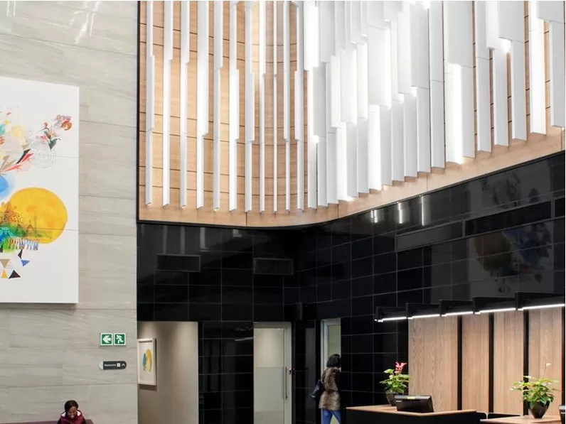 Ecophon Solo™ Baffle Wall