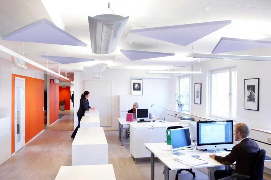 Ecophon Solo™ Triangle