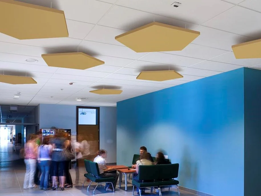 Ecophon Solo™ Pentagon